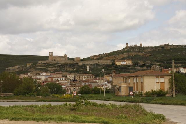 CEREZO DE RÍO TIRÓN