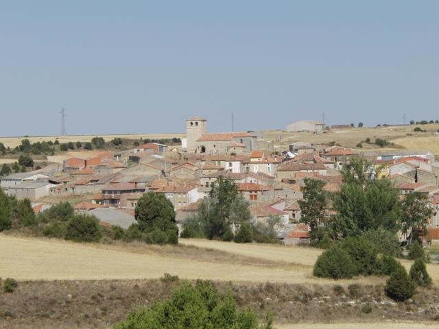 PINEDA TRASMONTE