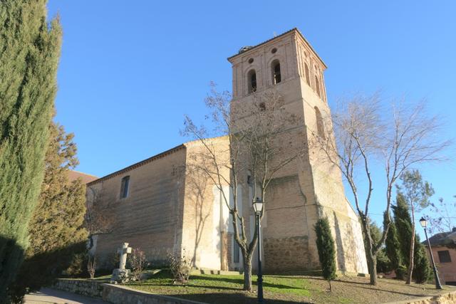 CEINOS DE CAMPOS